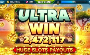 255bet